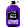 Sanitizante Bom Ar 5L - Vonixx