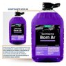 Sanitizante Bom Ar 5L - Vonixx